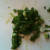Chopped Green Onion Chopped Green Onion