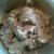 Mix all of the ingredients together Mix all of the ingredients together