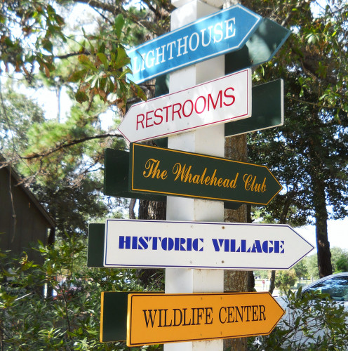 There's much to do in Corolla. The hard part is deciding which direction to go in. 