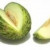 Santa Claus Melon Santa Claus Melon