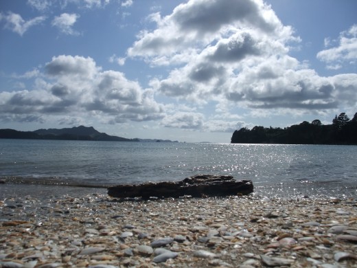Looking out across Mercury bay in Whitianga