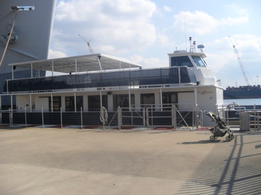 Dolphin Cruise Boat