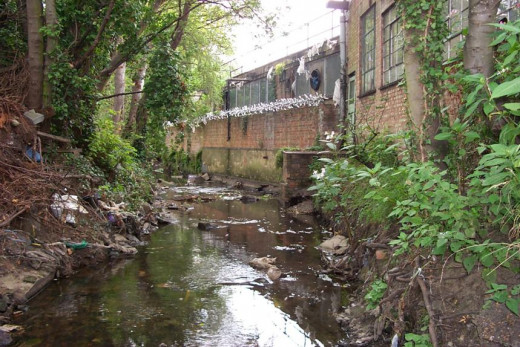 Much of this creek or brook was concreted as a storm-water channel, whilst other sections lay open and untouched.