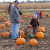 Picking out our pumpkins!