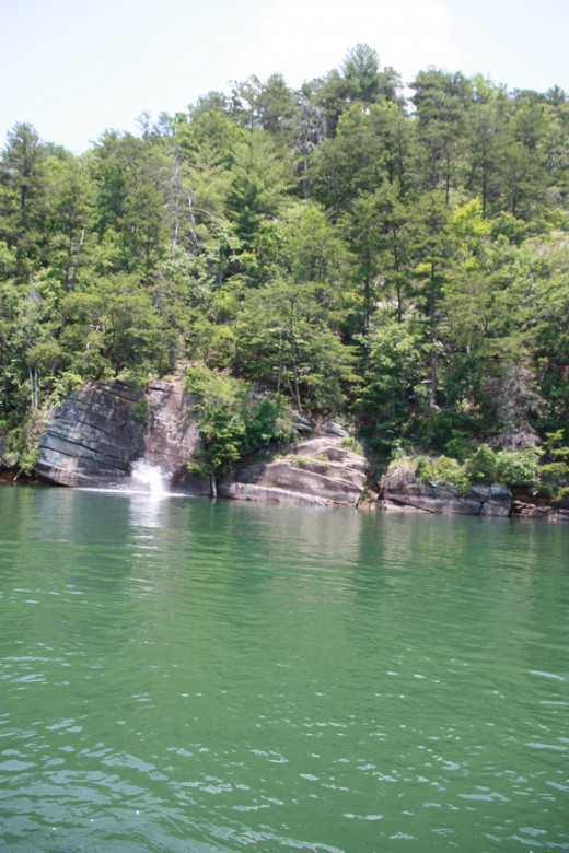 Where To Retire , Have you Considered Greenville, South Carolina?