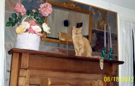 Sandy on Mantle