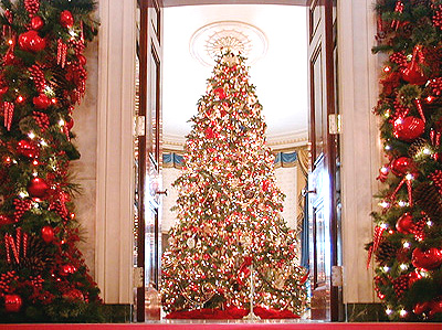 This is one of the magnificant trees in the White House.