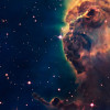 ii2c profile image