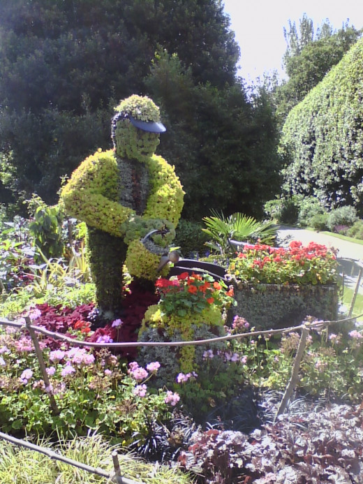 Topiary in The Queen Mary's Garden, Regents Park, London