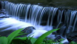 http://s3.hubimg.com/u/7434714_f248.jpg