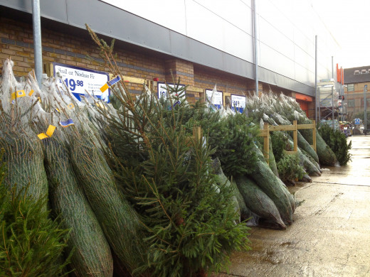 B&Q 26th November 2012