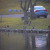 Mallard ducks Mallard ducks