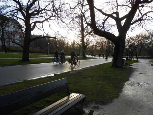 Bikes are used for recreation sometimes. Here's bicyclists riding through the famous Vondel Park. They have a nicer bike path than the pedestrians. There's is the muddy path on the right!
