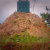An ant hilltop flattened and header tank. An ant hilltop flattened and header tank.