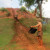 An ant hill plus some water equals a slippery slide for kids to play on. An ant hill plus some water equals a slippery slide for kids to play on.