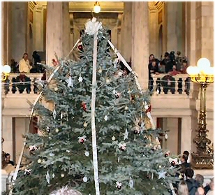 The Official State of R.I."Holiday Tree"  (It's actually a CHRISTMAS tree!)
