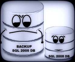 How to Backup a SQL Server 2005 Database