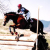 EquestrianAcademy profile image