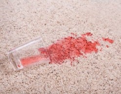 Best Way to Remove Dried Blood Stains from the Carpet