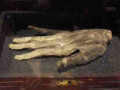 Hand Of Glory - The Pickled Hand Of A Hanged Man For Spells And Other Such Deeds