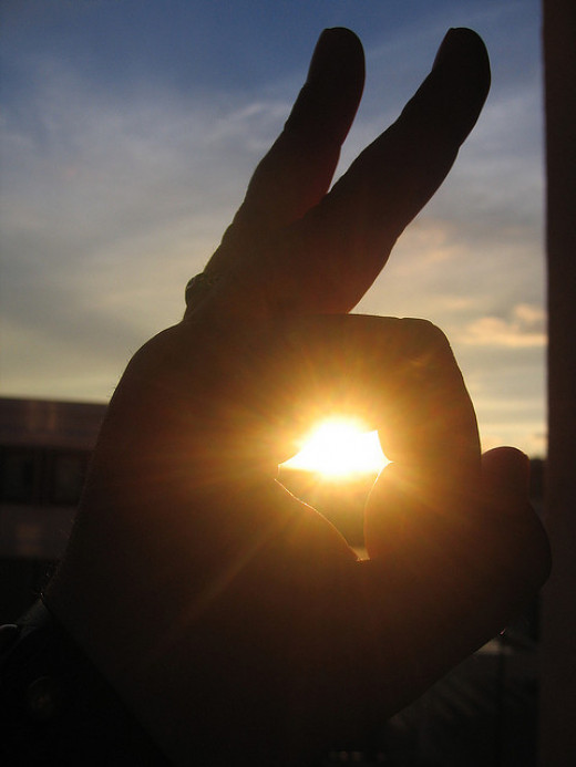 Rabbits in Dreams and the Rabbit as a Dream Symbol hubpages