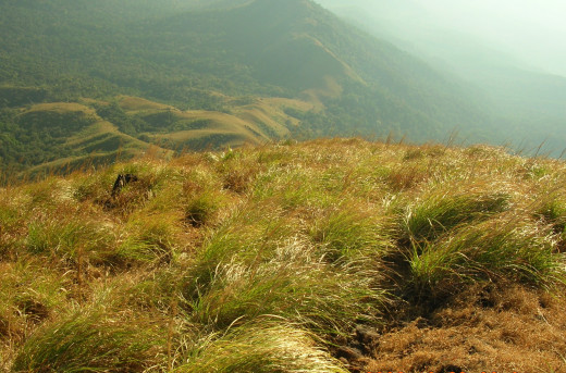 Roof of the world......