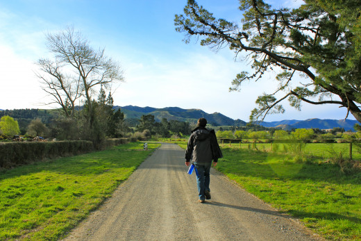 It's a long road ahead but the journey is worth it.  