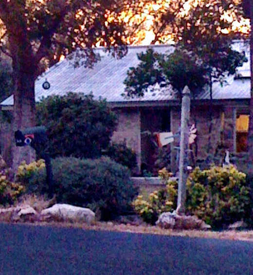 Stones mixed with shrubs