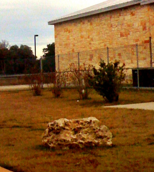 A stone sits alone on a large green era