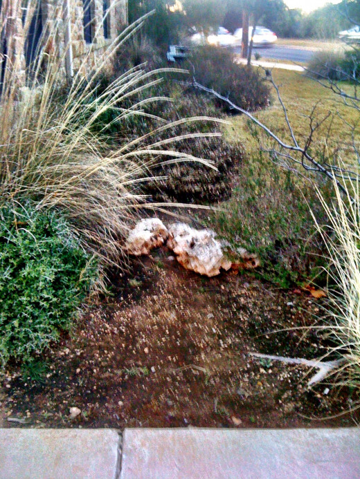 Small stones among tall grasses and shrubs.