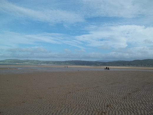 Enjoy the Freedom of a Walk along the Beach on a Blustery Day