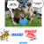 Add stamps by moving them onto your photo Add stamps by moving them onto your photo