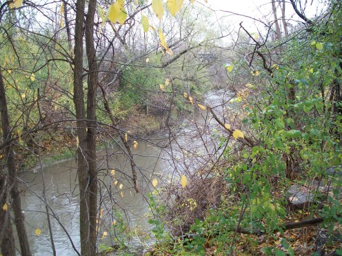 East Don River, Charles Sauriol Conservation Area, Toronto