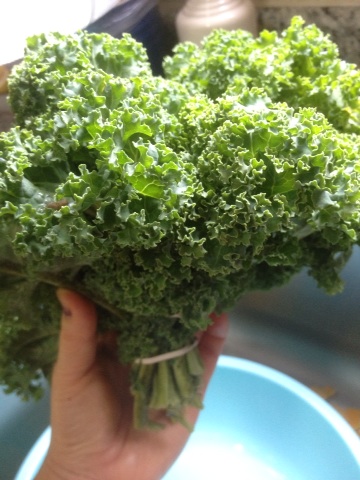 Read more about kale and it's amazing nutritional properties.