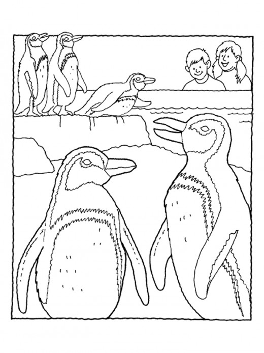penguins in zoo