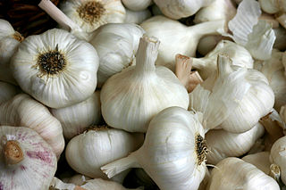 Enjoy a Healthier Life With the Miracle Powers of Garlic.