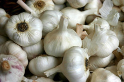 The Many Miracles of Garlic