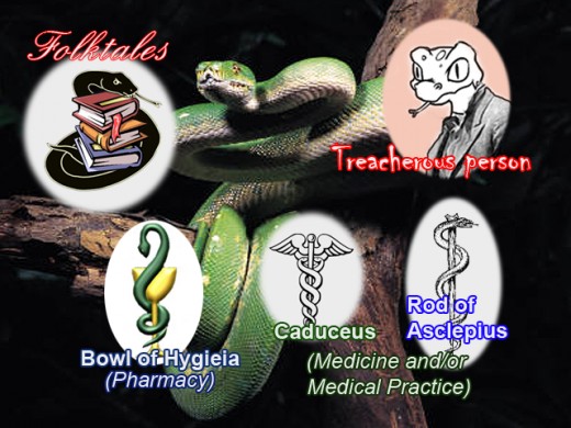 Western Perceptions of Snakes and Snake Symbols - Evil and Good