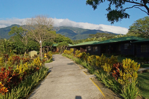 The view of Rincon de la Vieja from where some of the cabins at Buena Vista Lodge are located.  The landscaping is lush and colorful. 