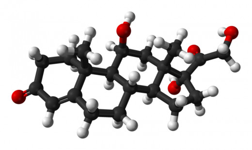 The Cortisol Molecule