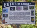 a butterfly  garden