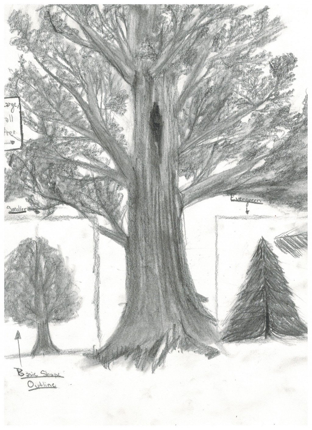 Drawing A Tree-Techniques to Add Texture to Your Drawing | hubpages