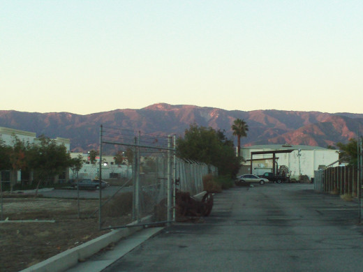 The view of the San Bernardino Mountains with a palm tree.