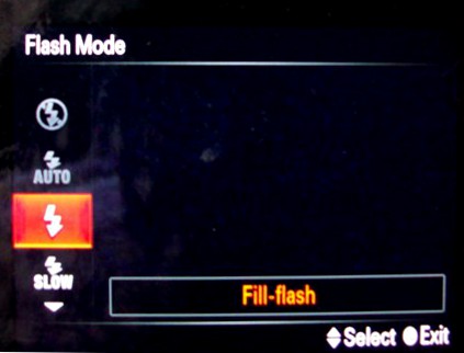 You can use a fill flash on your camera; some allow you to reduce the power of the flash, too.