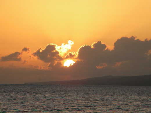 don't let the sun set on your professional development!