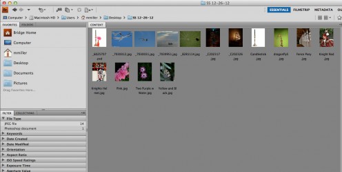 You can choose from multiple folders, although it is much quicker and easier to select one main folder with the images you need.