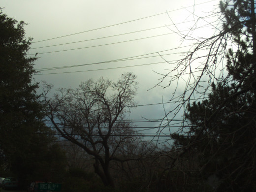 Gray skies and telephone lines. 
