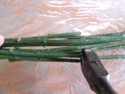 Cut Stems with Wire Cutter to make the ends even.