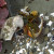 Two Hermit Crabs Fighting Over A Shell. 