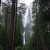 Yosemite Falls, the highest measured waterfall in North America—2,425 feet (739 meters)—is located at an elevation of 5,404 feet (1,647 meters)